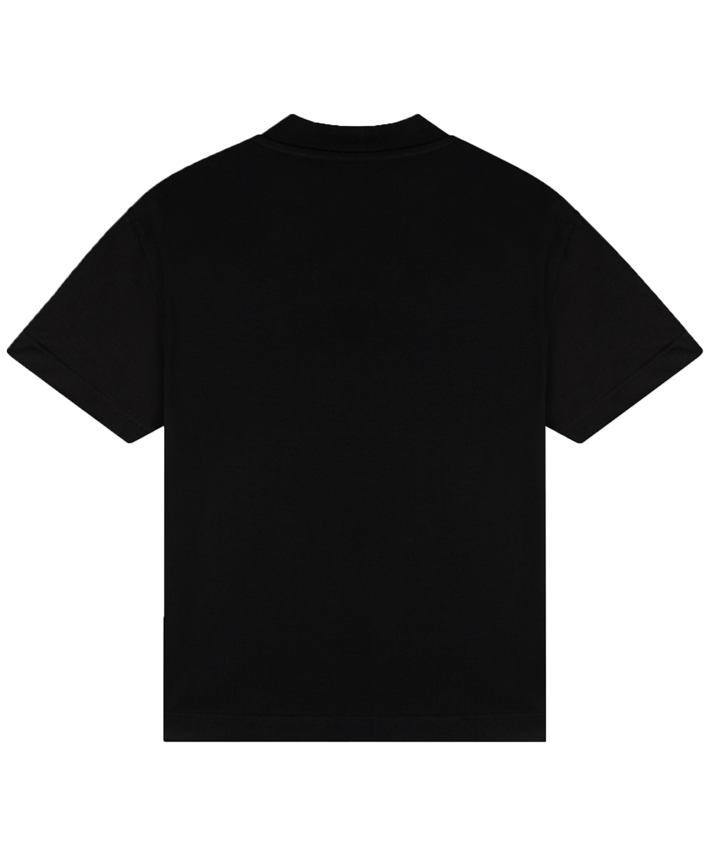 CROYEZ - Blue Heron - T-shirt - Vintage Black
