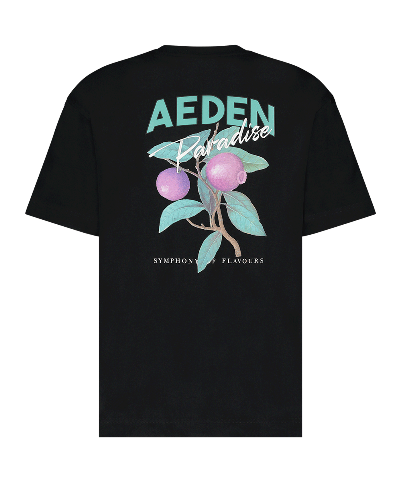 AEDEN - A22242941 - Jacques - Black