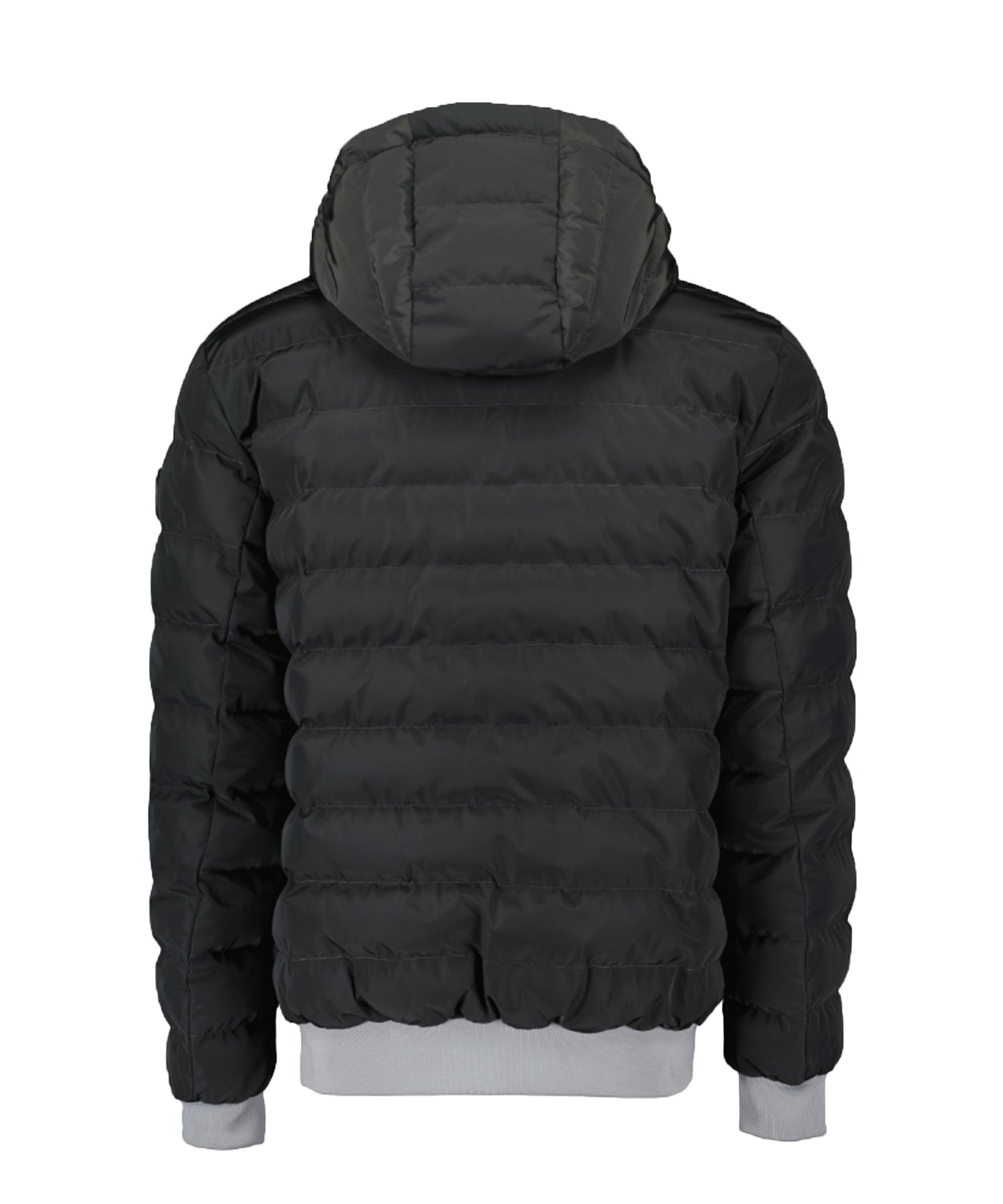 Airforce - Frm0831 - Reversi Padded Jacket - 804/970 Paloma